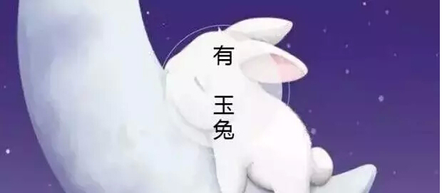 9513.jpg